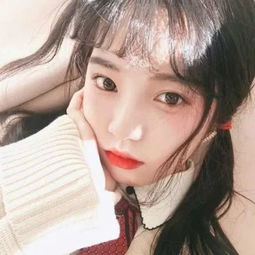 驾驶大卡车停车